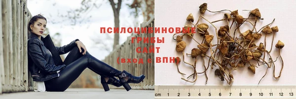 винт Абинск