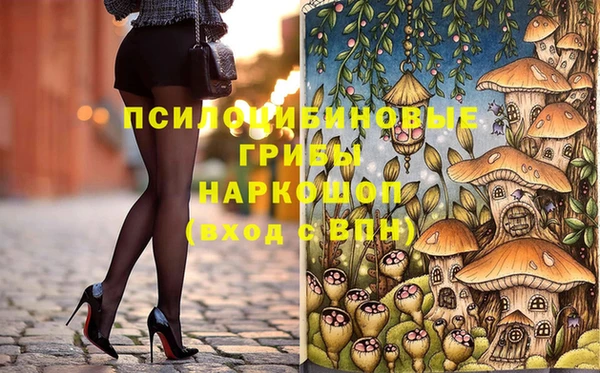 эйфоретик Алексин