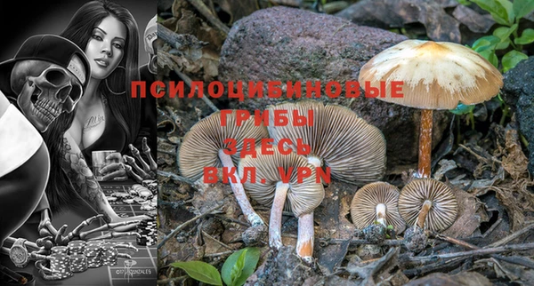 молекула духа Абдулино