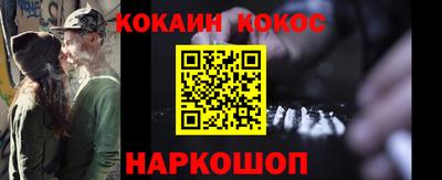 a pvp Новозыбков