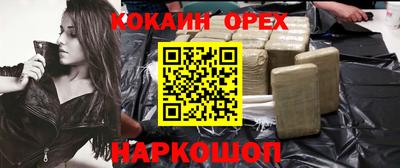a pvp Новозыбков