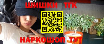 a pvp Новозыбков
