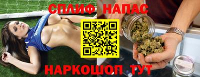 a pvp Новозыбков