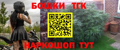 a pvp Новозыбков