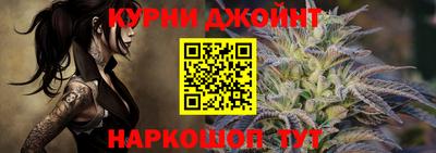 a pvp Новозыбков
