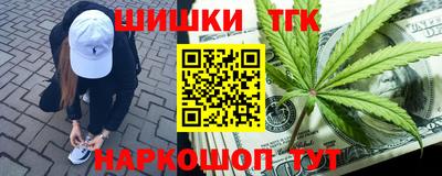 a pvp Новозыбков