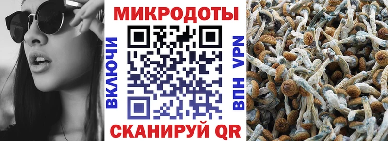 где продают   Лиски  Галлюциногенные грибы MAGIC MUSHROOMS 